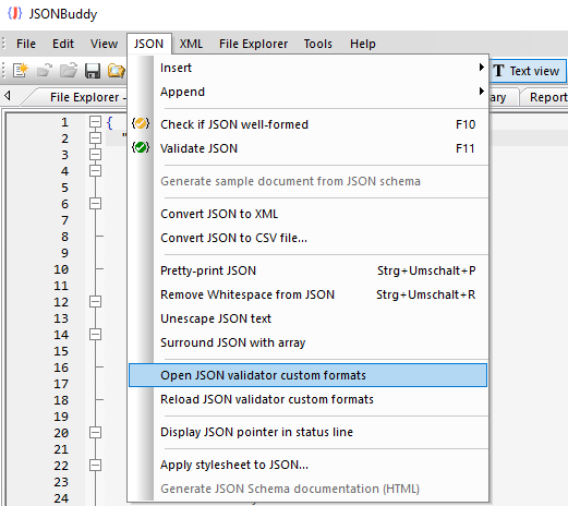 JSONBuddy for Windows showing a custom JSON validator format configuration