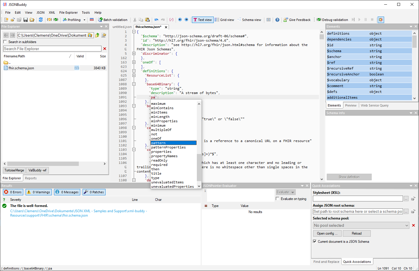 JSONBuddy for Windows showing background validation while a large JSON Schema is edited